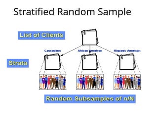 Stratified Random Sample
 