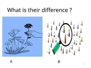 What is their difference ?
7
A B
 