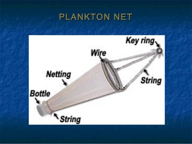 Sampling plankton