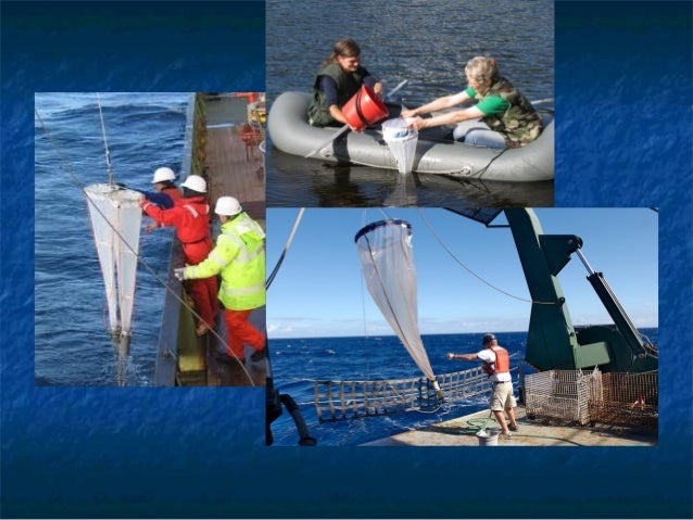 Sampling plankton