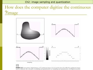sampling and efeects.pptyeyeyyyyywshdhdh | PPT