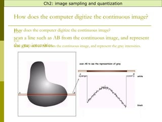 sampling and efeects.pptyeyeyyyyywshdhdh | PPT