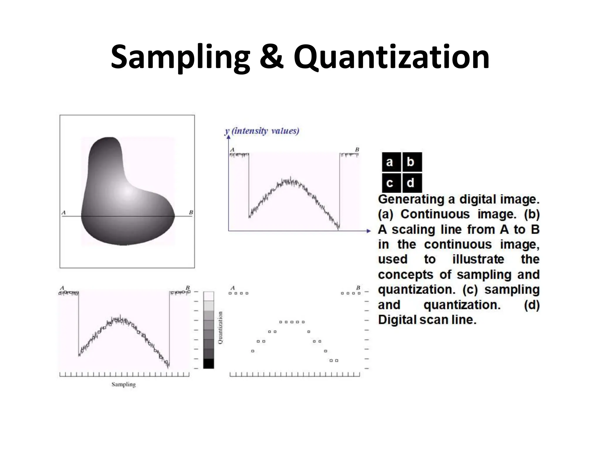 Sampling & Quantization
 