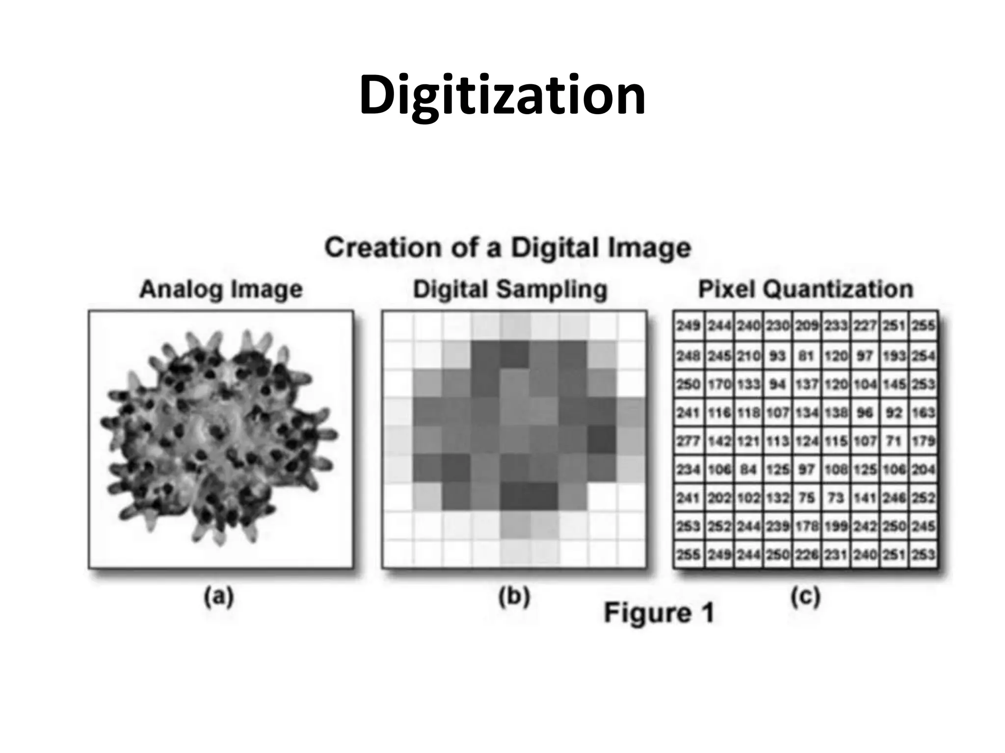 Digitization
 