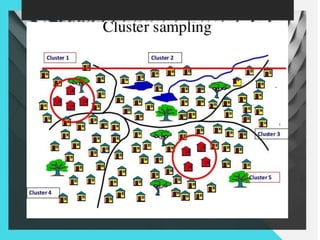 Sampling and sampling distributions | PPTX