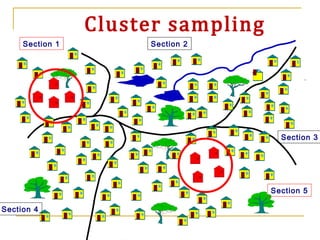 Cluster sampling
Section 4
Section 5
Section 3
Section 2Section 1
 