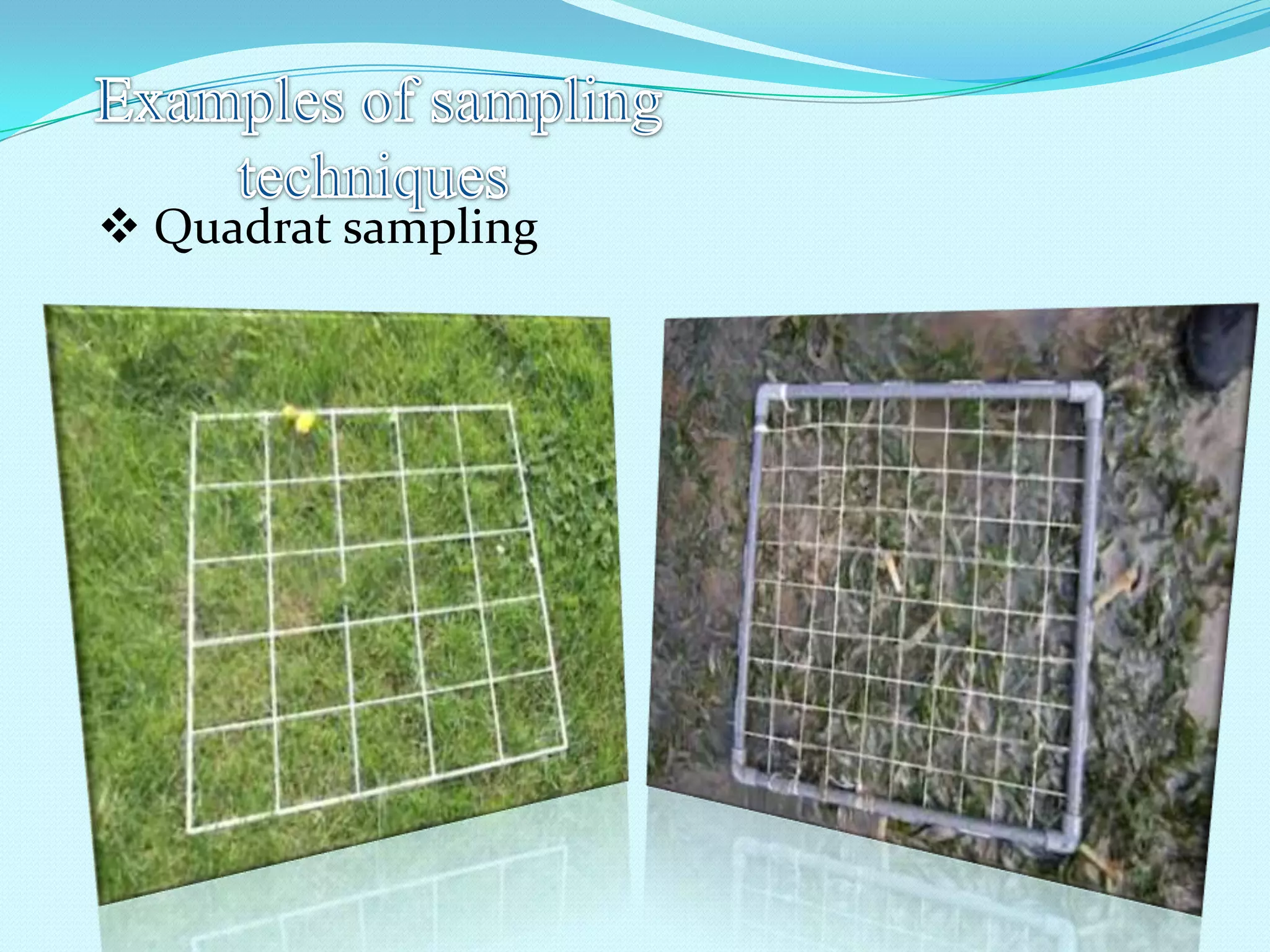  Quadrat sampling
 