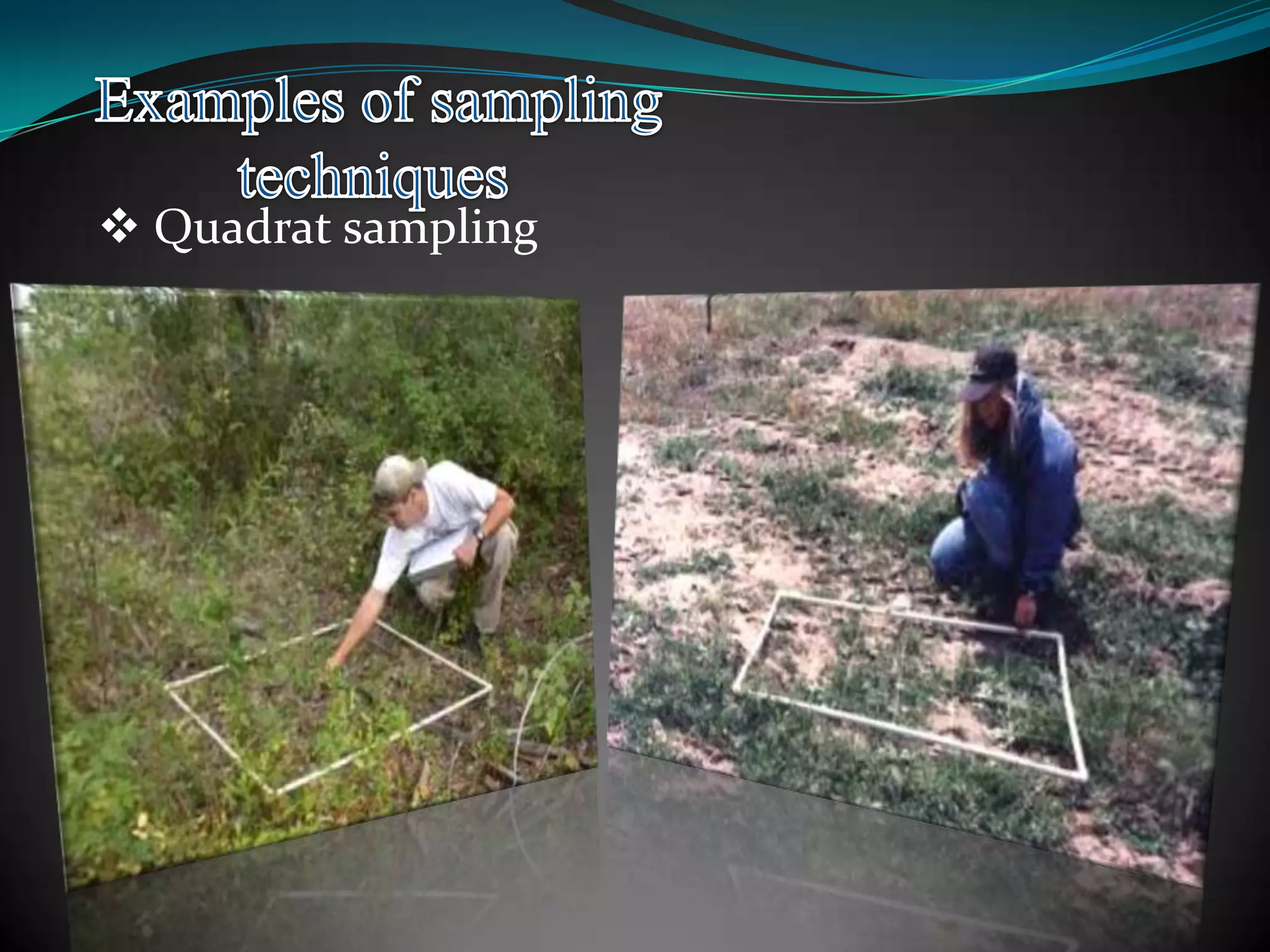  Quadrat sampling
 