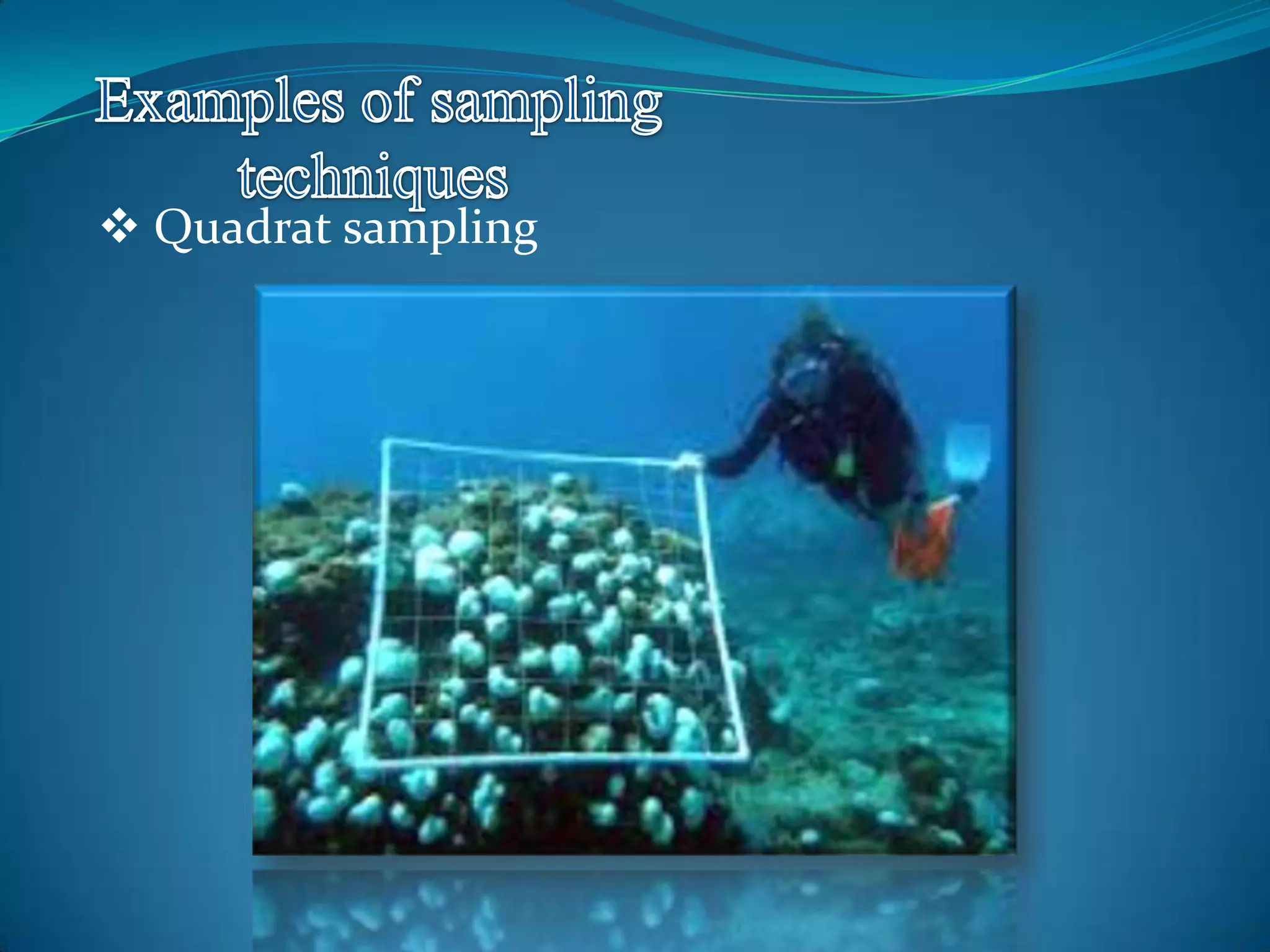  Quadrat sampling
 