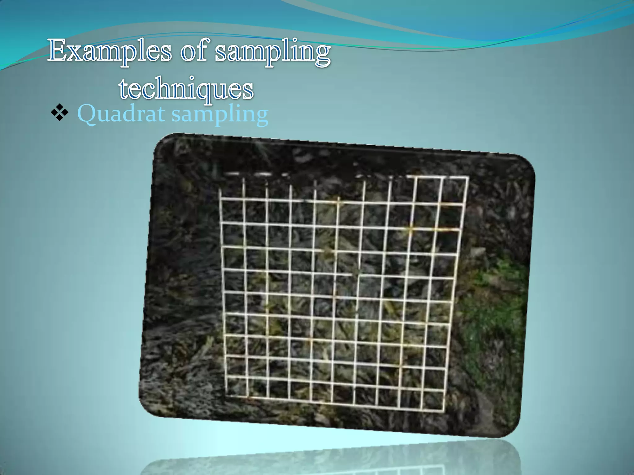  Quadrat sampling
 