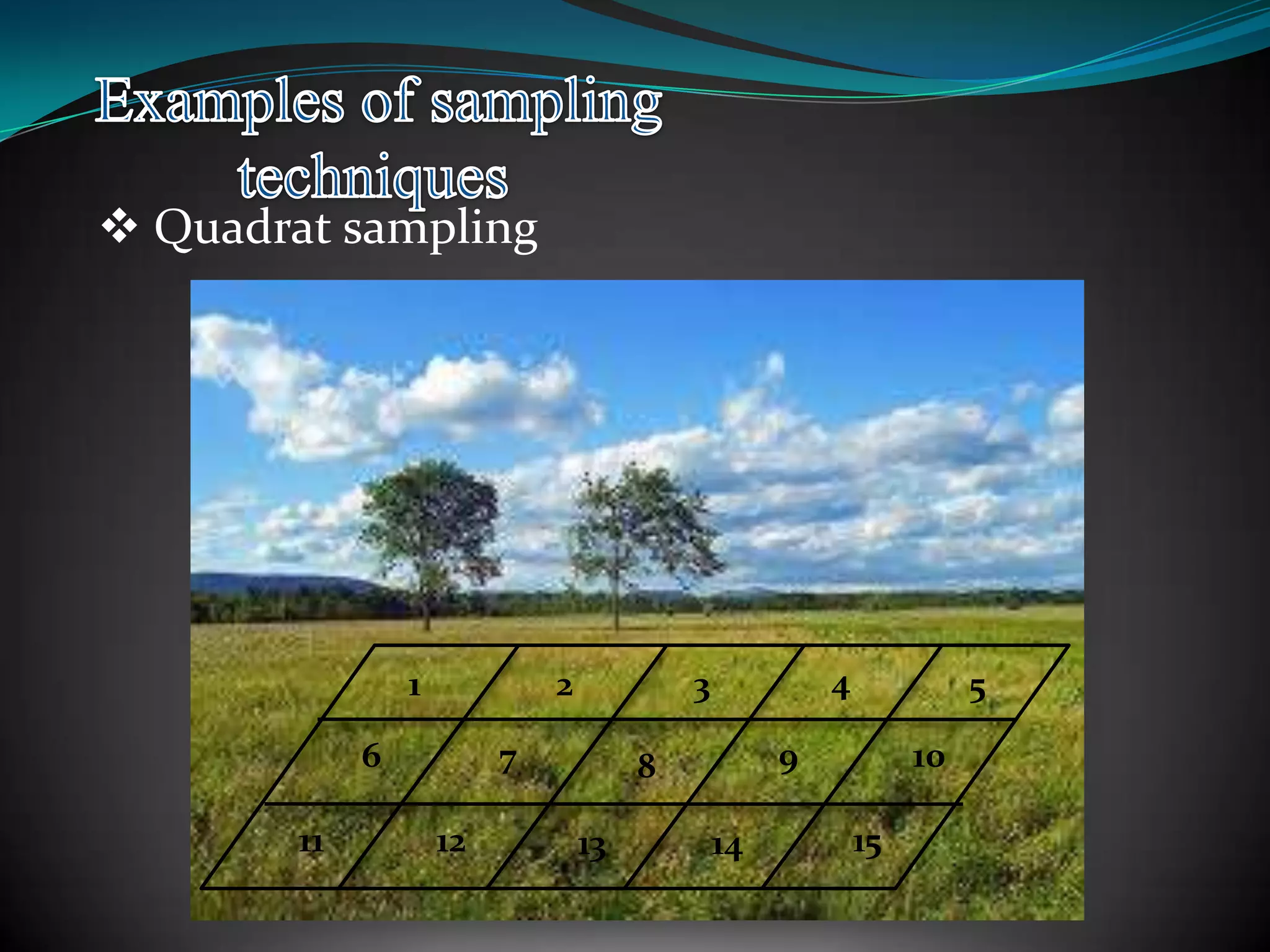  Quadrat sampling
1 2 3 4 5
6 7 8 9 10
11 12 13 14 15
 