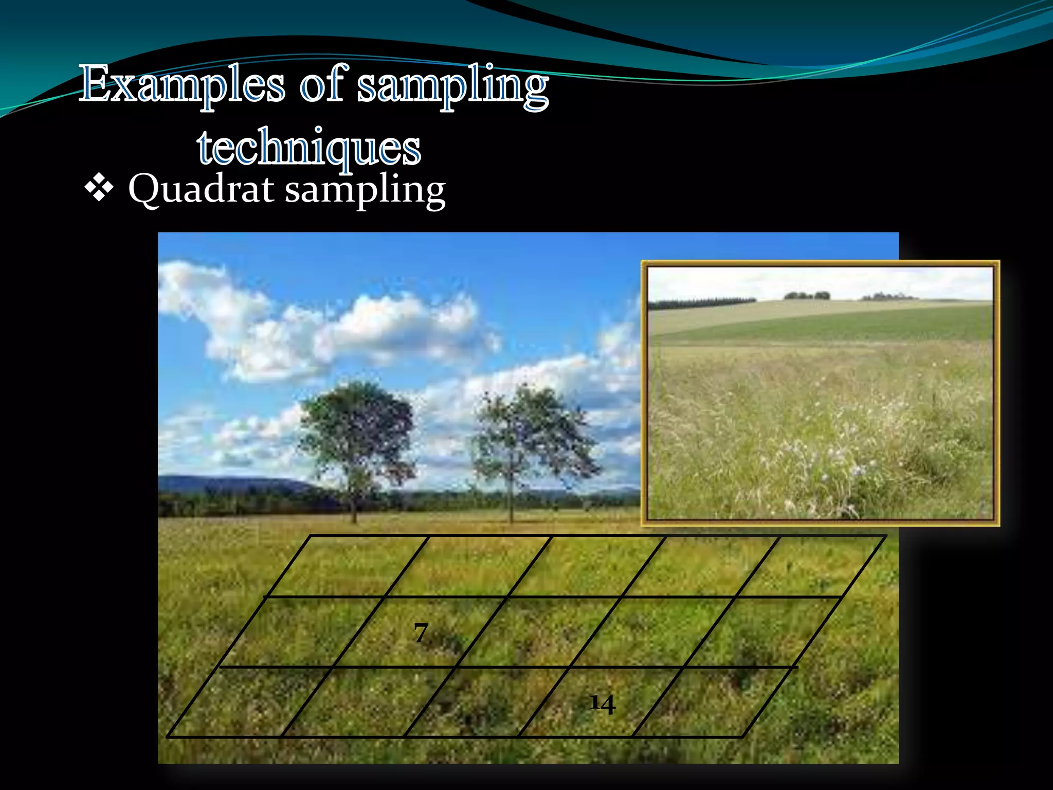  Quadrat sampling
7
14
 