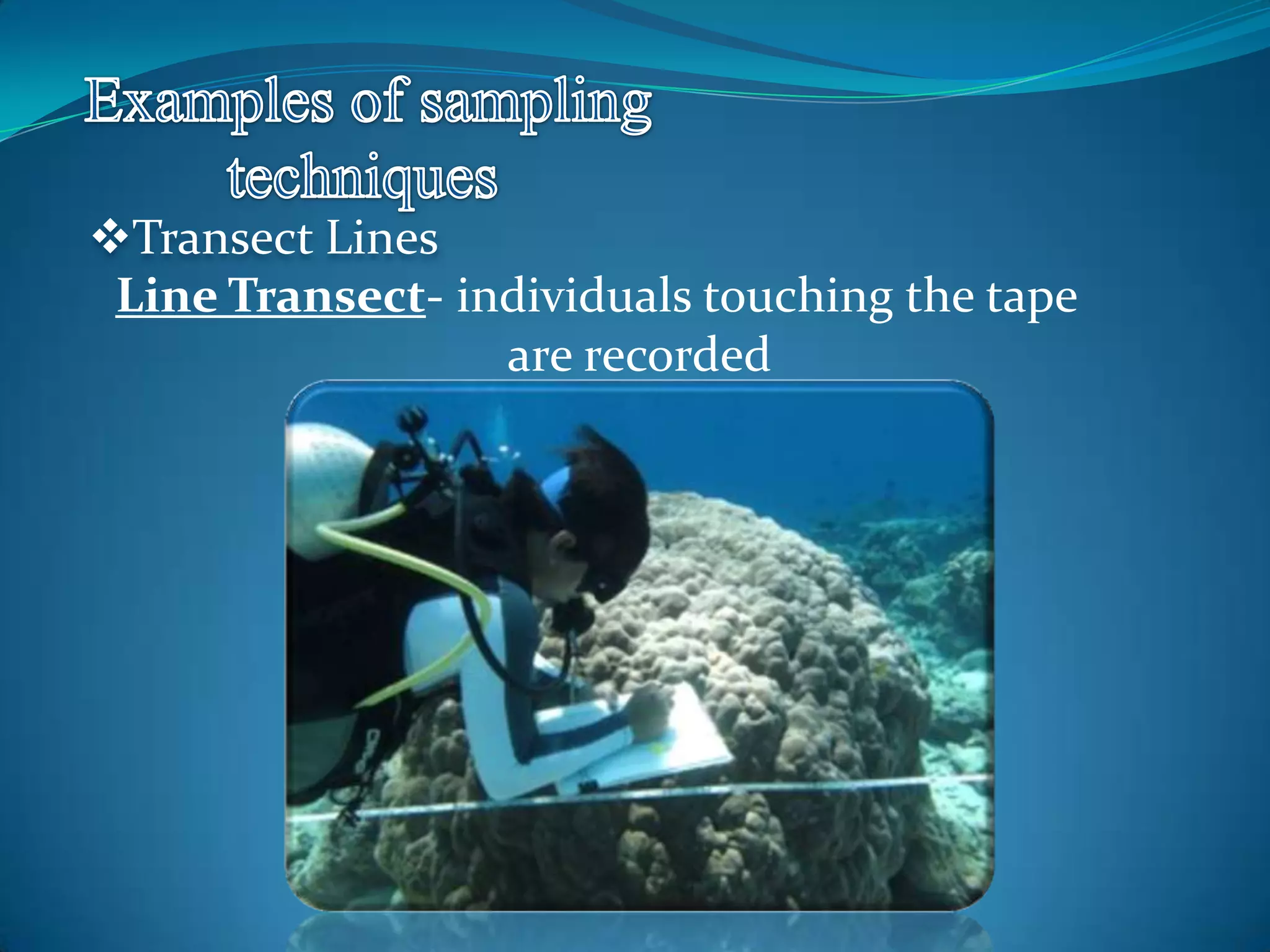 Transect Lines
Line Transect- individuals touching the tape
are recorded
 