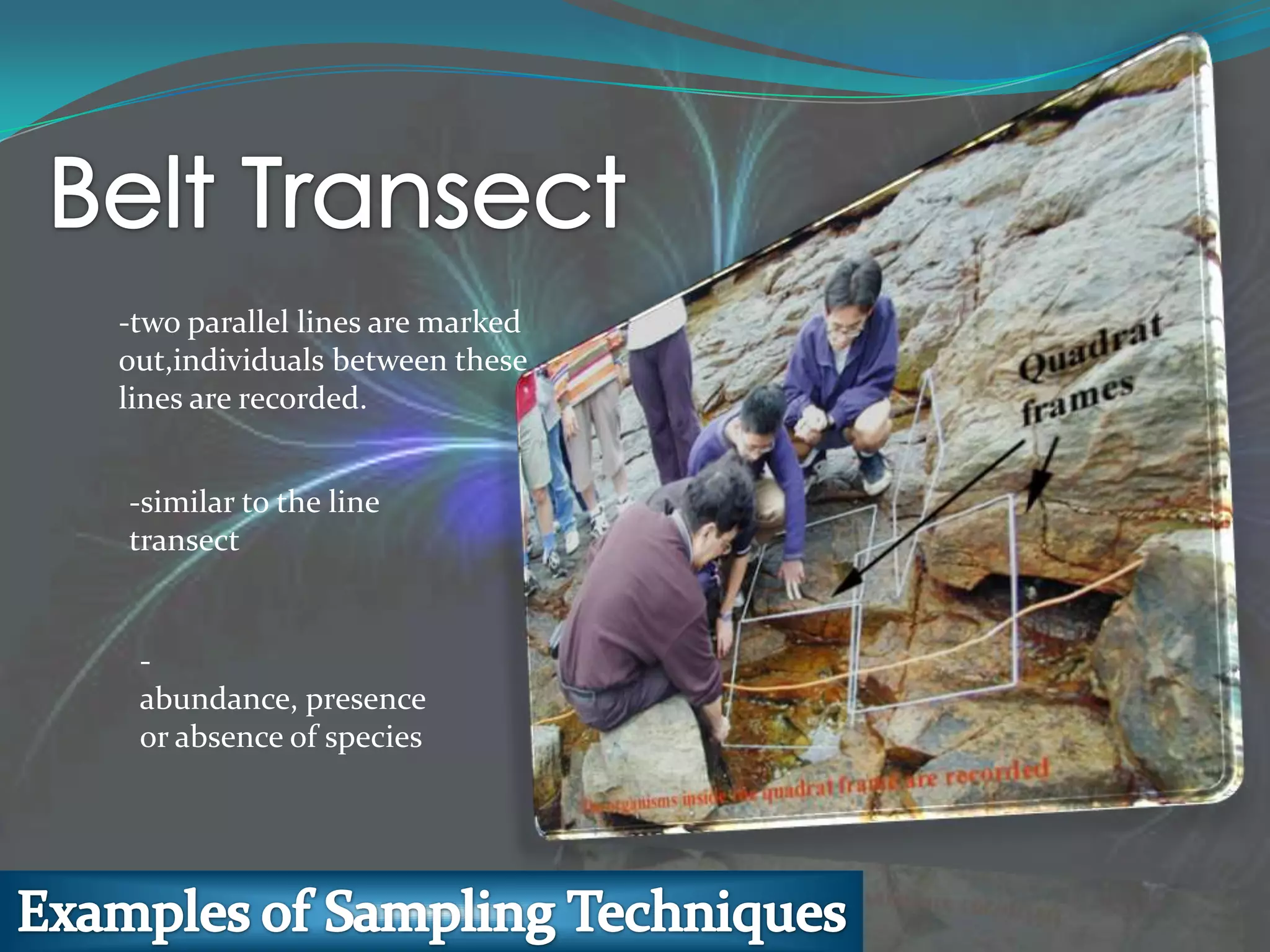 -two parallel lines are marked
out,individuals between these
lines are recorded.
-similar to the line
transect
-
abundance, presence
or absence of species
 
