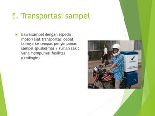 5. Transportasi sampel
 Bawa sampel dengan sepeda
motor/alat transportasi cepat
lainnya ke tempat penyimpanan
sampel (puskesmas / rumah sakit
yang mempunyai fasilitas
pendingin)
 