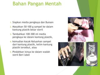 Bahan Pangan Mentah
1. Siapkan media pengkaya dan Bunsen
2. Masukkan 50-100 g sampel ke dalam
kantung plastik besar steril
3. Tambahkan 100-300 ml media
pengkaya ke dalam kantong plastik,
4. kemudian kocok Keluarkan sampel
dari kantung plastik, kelim kantung
plastik tersebut, atau
5. Pindahkan isinya ke dalam wadah
steril Beri label
 