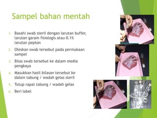 Sampel bahan mentah
1. Basahi swab steril dengan larutan buffer,
larutan garam fisiologis atau 0.1%
larutan pepton
2. Oleskan swab tersebut pada permukaan
sampel
3. Bilas swab tersebut ke dalam media
pengkaya
4. Masukkan hasil bilasan tersebut ke
dalam tabung / wadah gelas steril
5. Tutup rapat tabung / wadah gelas
6. Beri label
 