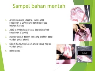 Sampel bahan mentah
1. Ambil sampel (daging, kulit, dll)
sebanyak ± 200 gram dari beberapa
bagian karkas
2. Atau : Ambil salah satu bagian karkas
sebanyak ± 200 g
3. Masukkan ke dalam kantong plastik atau
wadah gelas steril
4. Kelim kantung plastik atau tutup rapat
wadah gelas
5. Beri label
 