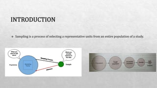 Sampling Methodology Presentation.pptx