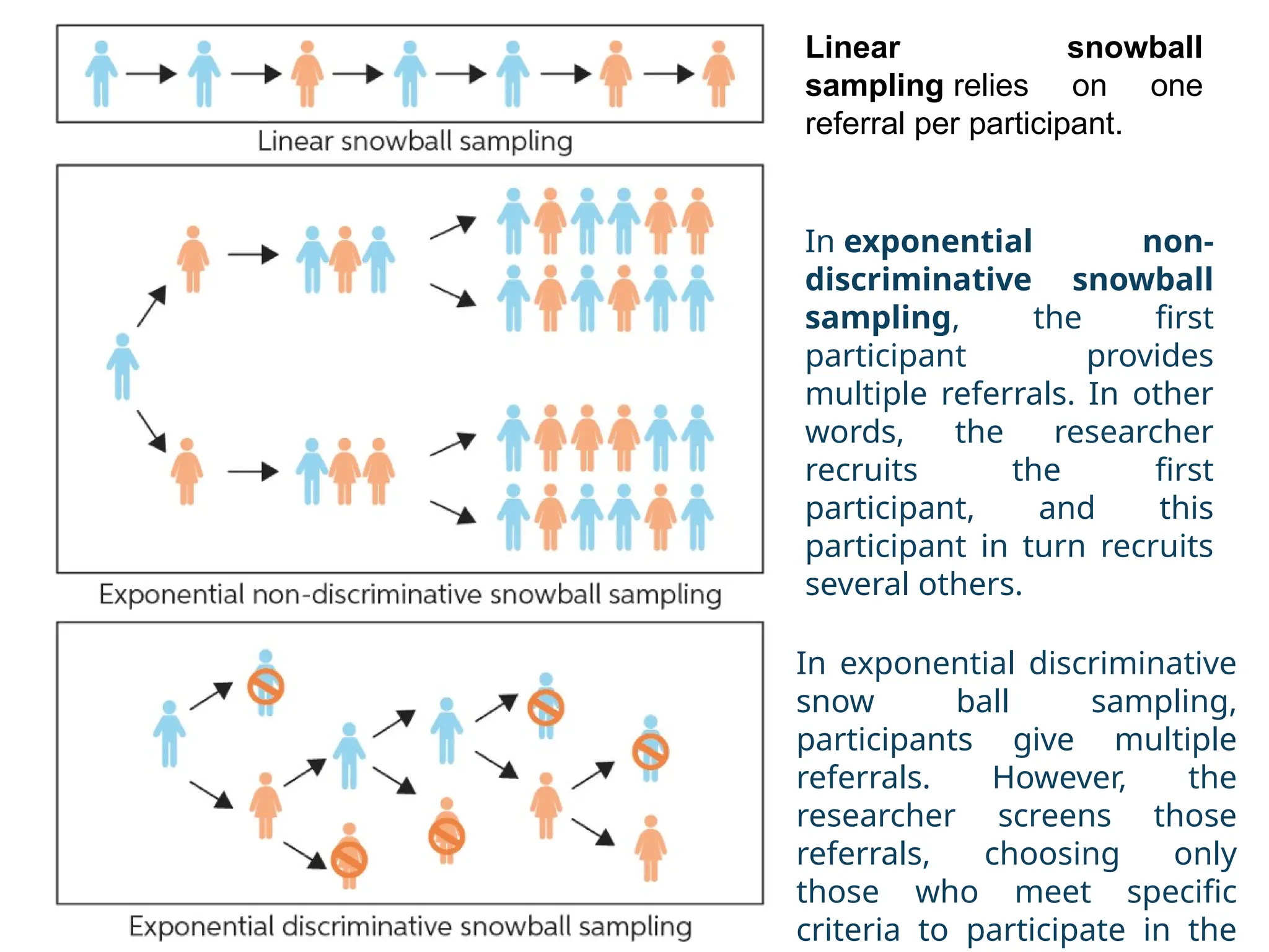 Linear snowball
sampling relies on one
referral per participant.
In exponential non-
discriminative snowball
sampling, the first
participant provides
multiple referrals. In other
words, the researcher
recruits the first
participant, and this
participant in turn recruits
several others.
In exponential discriminative
snow ball sampling,
participants give multiple
referrals. However, the
researcher screens those
referrals, choosing only
those who meet specific
criteria to participate in the
 
