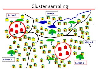 Cluster sampling
Section 4
Section 5
Section 3
Section 2
Section 1
 