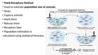 Comprehensive Overview of Sampling Techniques in Zoological Research | PPTX