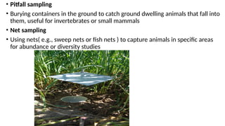Comprehensive Overview of Sampling Techniques in Zoological Research | PPTX