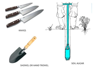 Showel For Sampling Testing Sampling techniques for nematode assay | PPTX