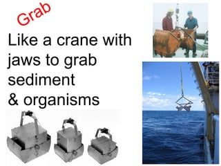 Grab Like a crane with jaws to grab sediment  & organisms 