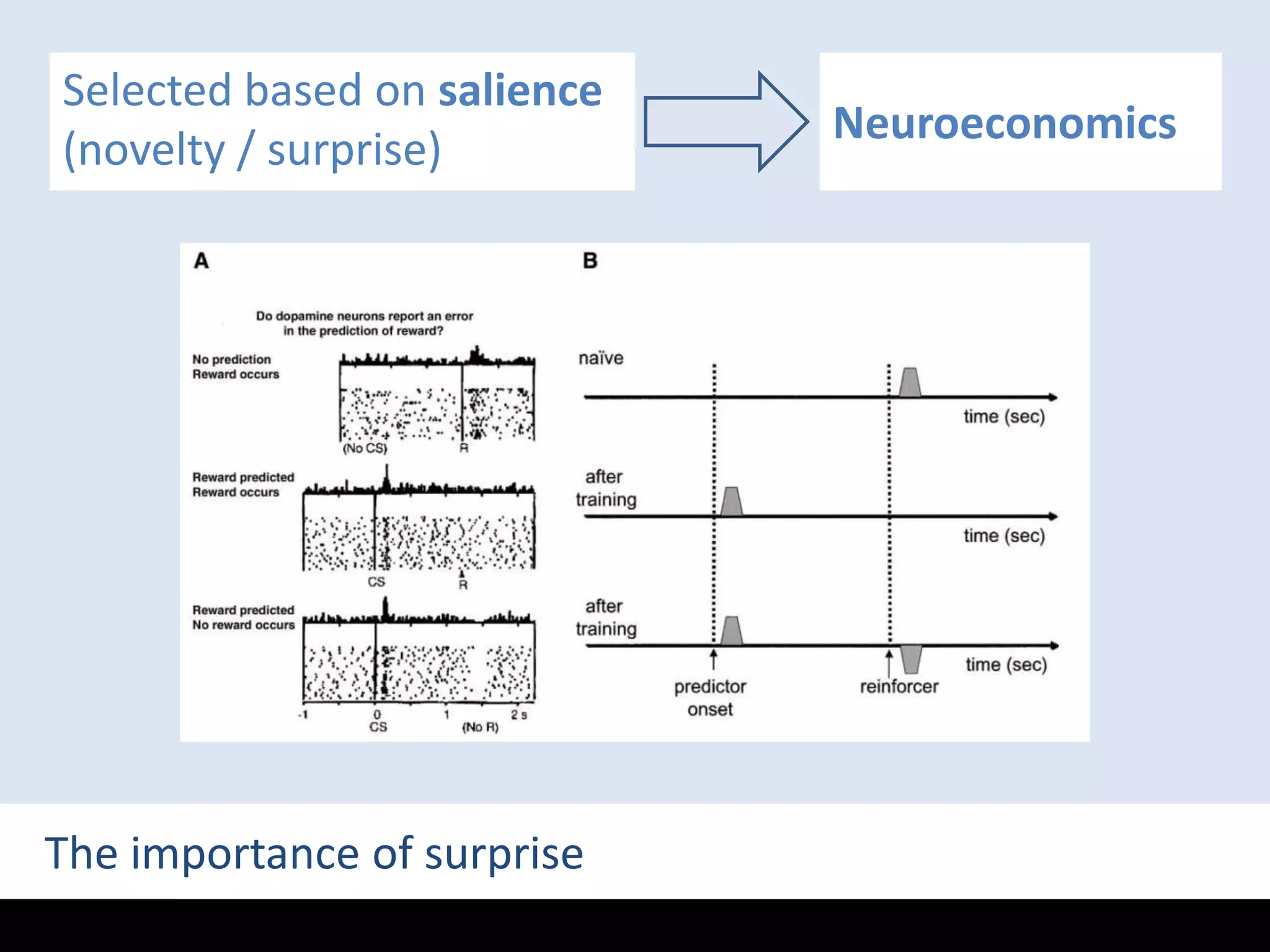 Selected based on salience(novelty / surprise)NeuroeconomicsThe importance of surprise