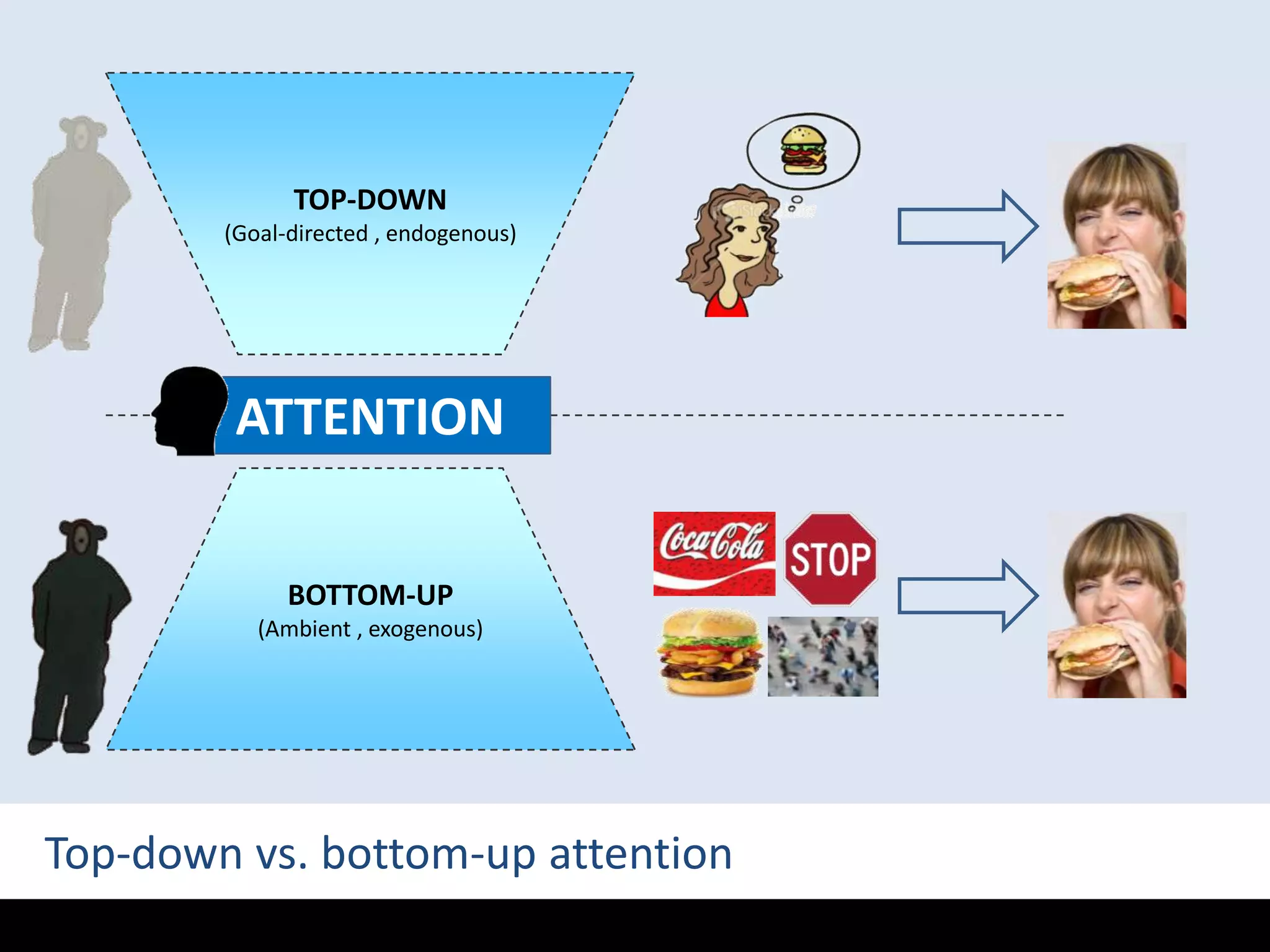 TOP-DOWN(Goal-directed , endogenous)ATTENTIONBOTTOM-UP(Ambient , exogenous)Top-down vs. bottom-up attention