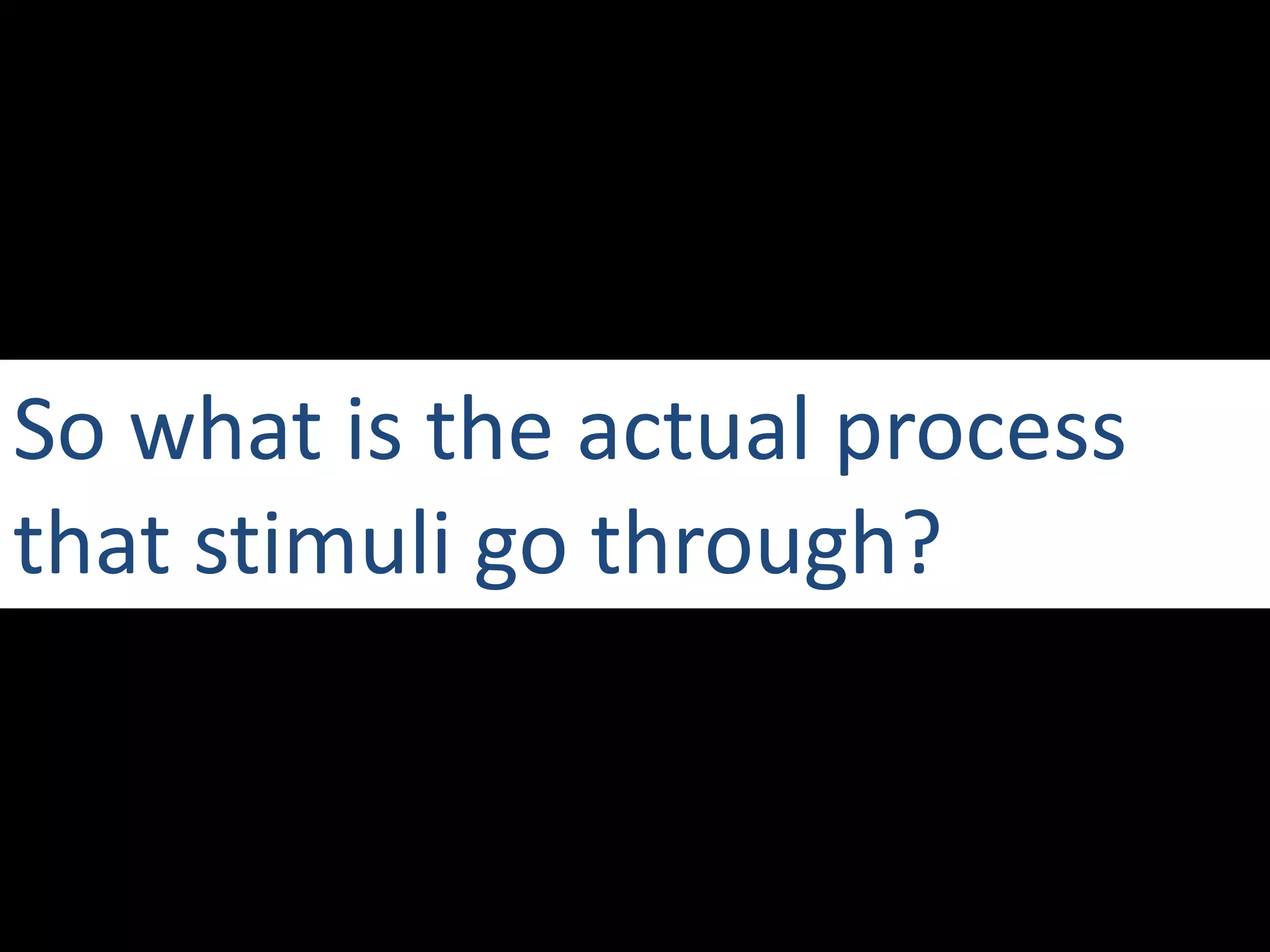 So what is the actual process that stimuli go through?
