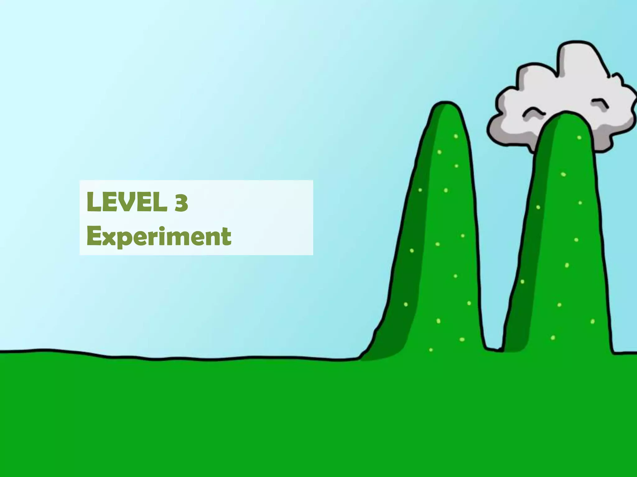 LEVEL 3Experiment