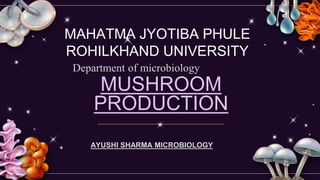 MUSHROOM
PRODUCTION
AYUSHI SHARMA MICROBIOLOGY
MAHATMA JYOTIBA PHULE
ROHILKHAND UNIVERSITY
Department of microbiology
 