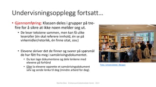 Undervisningsopplegg fortsatt…
• Gjennomføring: Klassen deles i grupper på tre-
fire for å sikre at ikke noen melder seg ut.
• De leser tekstene sammen, men kan få ulike
leseroller (én skal referere innhold, én se på
virkemidler/retorikk, én finne sitat, osv.)
• Elevene skriver det de finner og svarer på spørsmål
de har fått fra meg i samskrivingsdokumentet.
• Du kan lage dokumentene og dele lenkene med
elevene på forhånd
• Eller la elevene opprette et samskrivingsdokument
selv og sende lenka til deg (mindre arbeid for deg).
Foto: Universitetet i Bergen
Marthe Moe - Kristiansand katedralskole Gimle - 2017
 