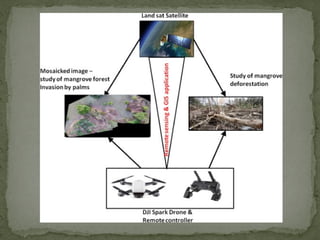 Application of remote Sensing and GIS in forest monitoring | PPTX