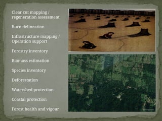 Application of remote Sensing and GIS in forest monitoring | PPTX