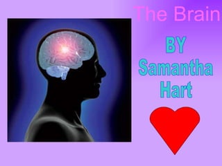 The Brain BY Samantha Hart 