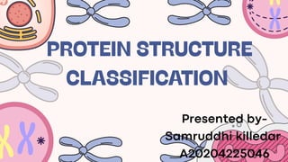 Comprehensive Overview of Protein Structure and Classification | PDF
