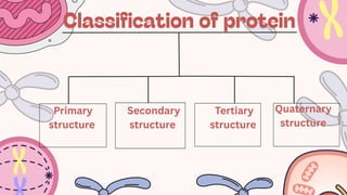 Comprehensive Overview of Protein Structure and Classification | PDF