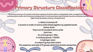 Comprehensive Overview of Protein Structure and Classification | PDF