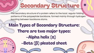 Comprehensive Overview of Protein Structure and Classification | PDF