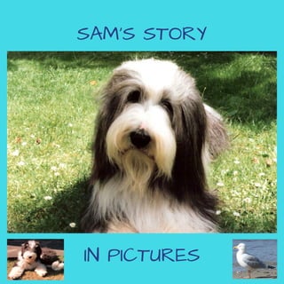 SAM'S STORY
IN PICTURES
 