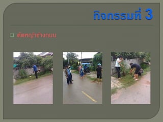  ตัดหญ้าขา้งถนน 

