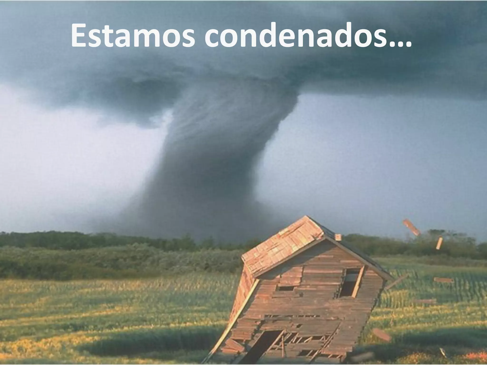 Estamos condenados…
 