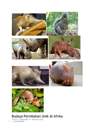 Budaya Pernikahan Unik di Afrika
Posted by: soliloquist92 on: Februari 9, 2011
 In: Uncategorized
 