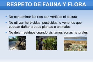 RESPETO DE FAUNA Y FLORA






No contaminar los ríos con vertidos ni basura
No utilizar herbicidas, pesticidas, o venenos que
puedan dañar a otras plantas o animales
No dejar residuos cuando visitamos zonas naturales

 