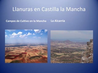 Llanuras en Castilla la Mancha
Campos de Cultivo en la Mancha

La Alcarria

 