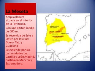 La Meseta
Amplia llanura
situada en el interior
de la Península.
Con una altitud media
de 600 m
Es recorrida de Este a
Oeste por los ríos:
Duero, Tajo y
Guadiana
Se extiende por las
comunidades de:
Castilla y León,Madrid,
Castilla-La Mancha y
Extremadura.

 