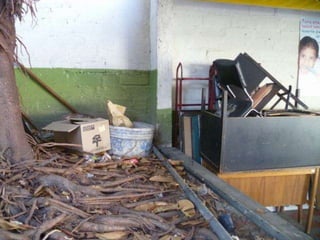 IE Samuel Barrientos